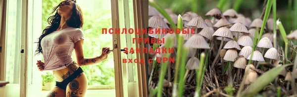 ALPHA PVP Володарск
