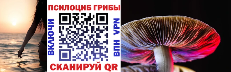 Купить где  Печора  Псилоцибиновые грибы Cubensis 